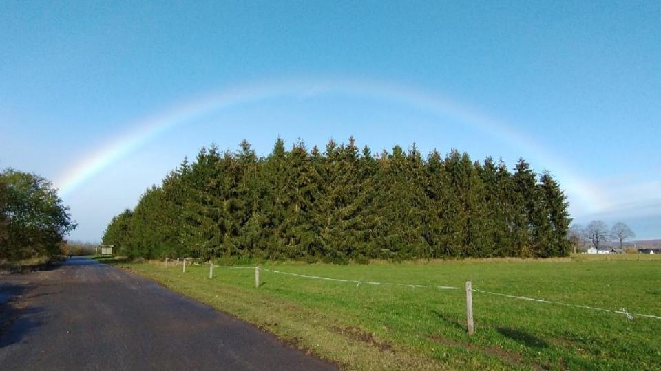 Regenbogen (c) Ida Prinz-Hochgürtel