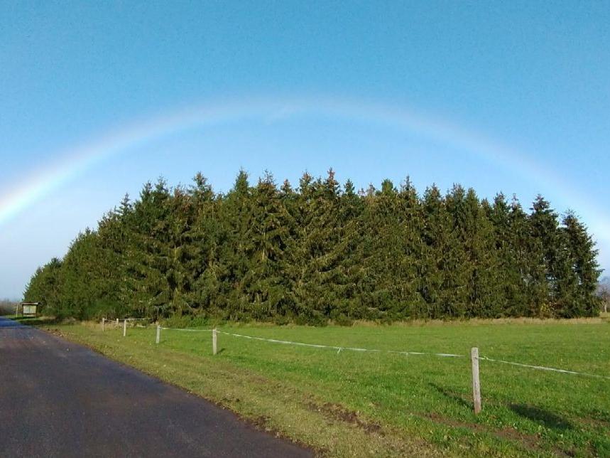 Schritte mit Gott (c) Ida Prinz-Hochgürtel