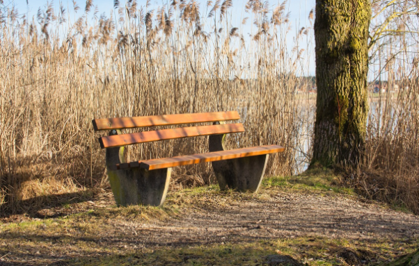 Bank in der Natur - Quelle HMC