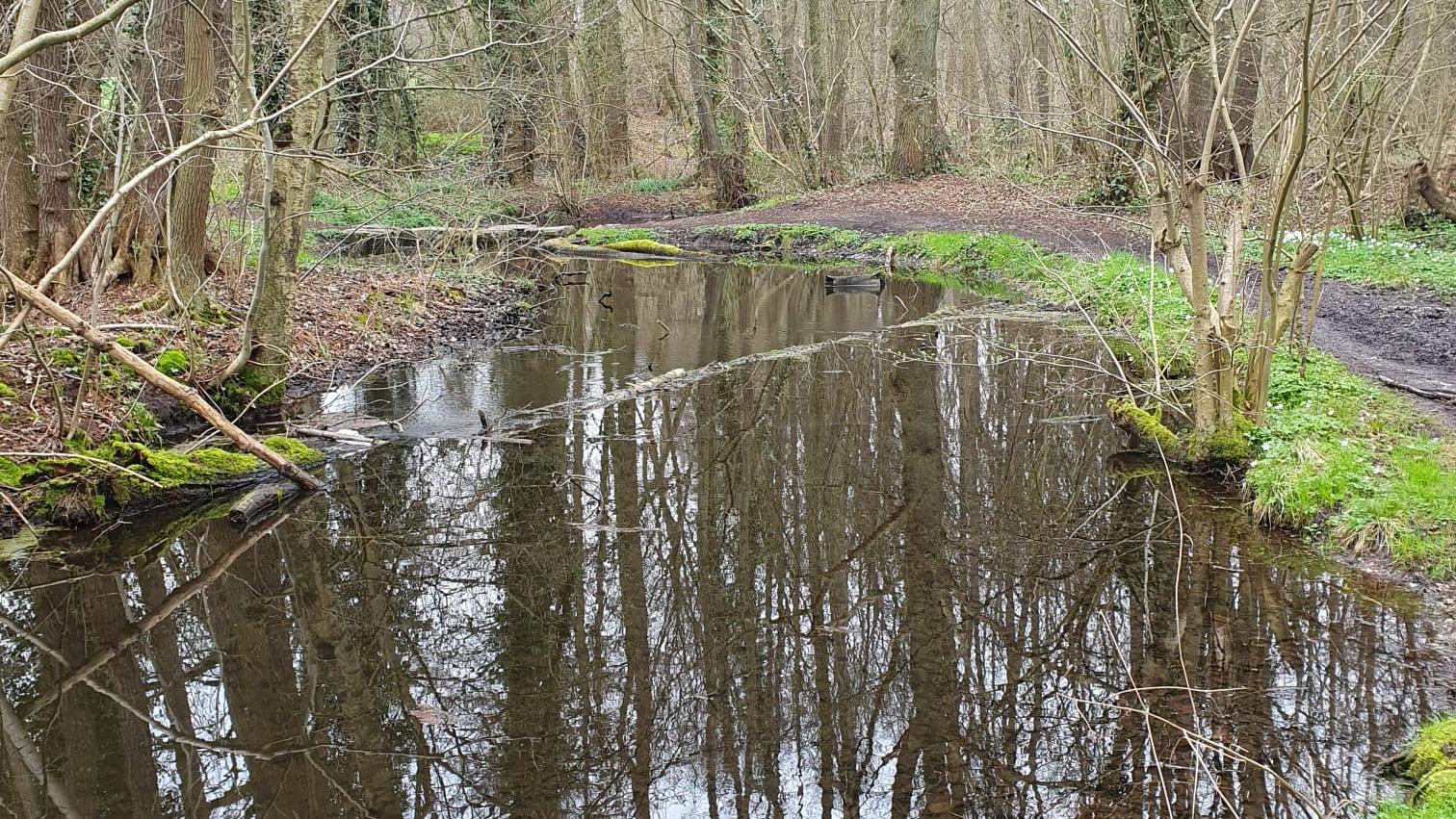 Waldweg (c) Bistum Aachen